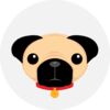 Pug